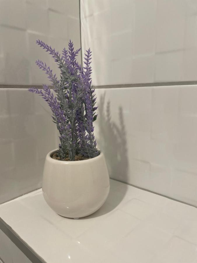 Drinka Parlament Center Apartment Belgrád Kültér fotó